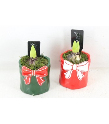 Compo cache pot noeud noel x 1 j