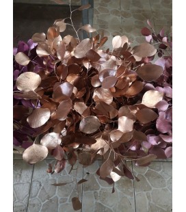 Populus teinté Cuivre 60 cm