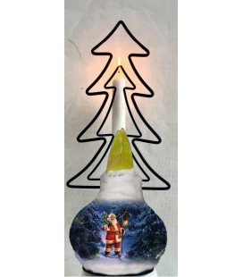 Bulbe amaryllis structure