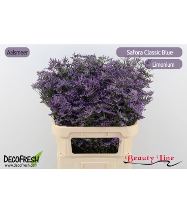 Limonium Saf  Classic Blue 80 cm
