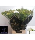 Freesia Du Essence