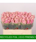 Rose Athena royale 50 cm