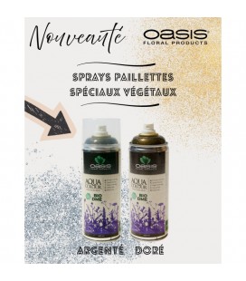 Spray Aqua colour Pailletes argent