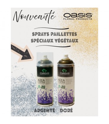 Spray Aqua colour Pailletes argent