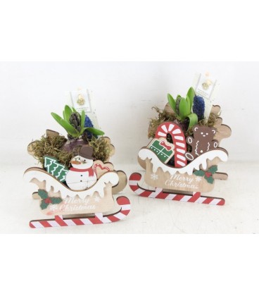 Compo traineau x 1 j