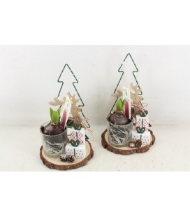 Compo Sapin socle x 1 j