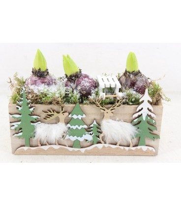 Compo Jardiniere x 3 j