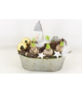 Compo oval losange x 5 j