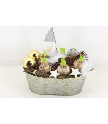 Compo oval losange x 5 j