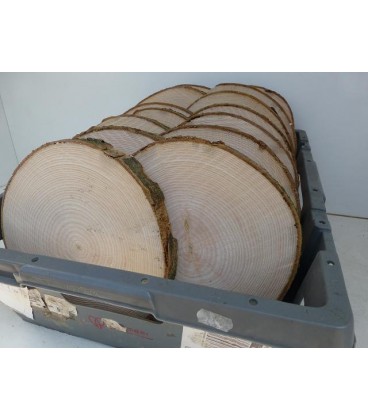 Rondin bois nature