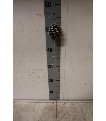 Pommes de pin piontes blanche 