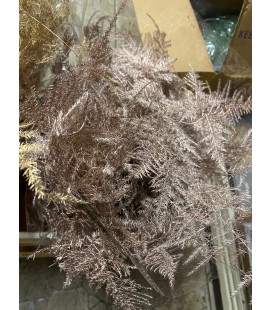 Asparagus teinté Platine 55 cm