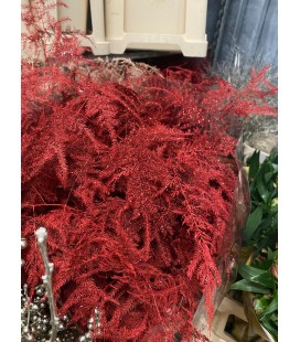 Asparagus teinté Rouge + paillet 80