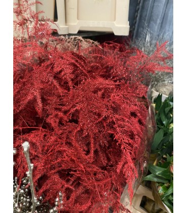 Asparagus teinté Rouge + paillet 80