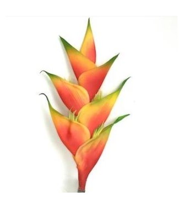 Heliconia Tropical 100 cm