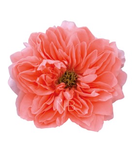 Rose Equat Dragonfly 50 cm x 25