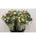 Anemone mix 35 cm 