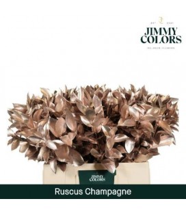 Ruscus teinté OR 60 cm