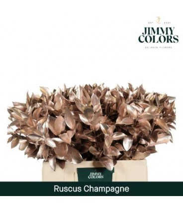 Ruscus teinté OR 60 cm