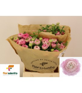 Renoncule el Pink 45 cm