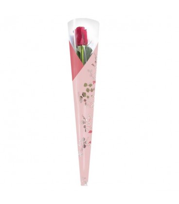 Etui a rose Elis Rose 65x13x5 X50 P