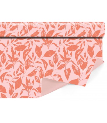 Clairbrill Folia Corail 0.80 x 40 