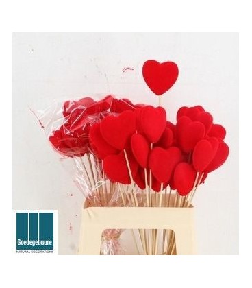 Pics coeur rouge 5.5 pics 50 cm x25