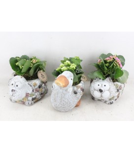 Compo Gros  annimaux beton