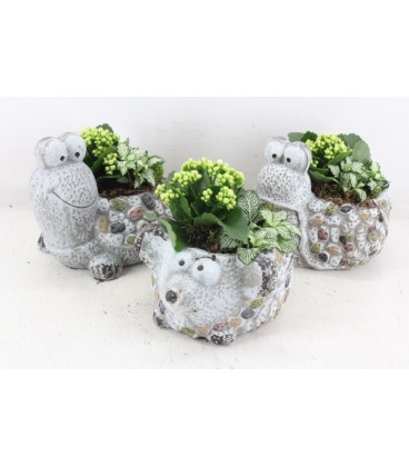 Compo Petit annimaux beton