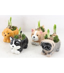 Compo annimaux ceramique couleur
