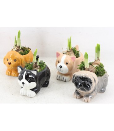 Compo annimaux ceramique couleur