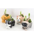 Compo annimaux ceramique couleur