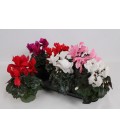 Cyclamen Vintro Ø 13