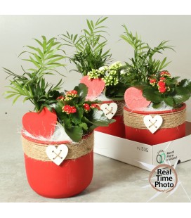 Composition st valentin Ø 17 cerami