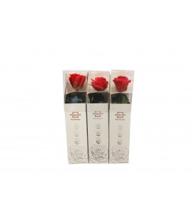 Rose Stab rouge 30 cm