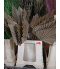 Feuille palm la botte de 10