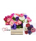 Anemone Carmel Mix 32 Cm