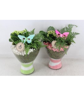 Compo vase diabolo rose ou blanc