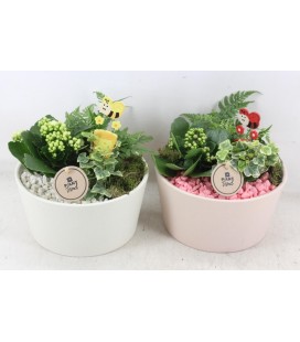 Compo ceram Blanc ou Rose