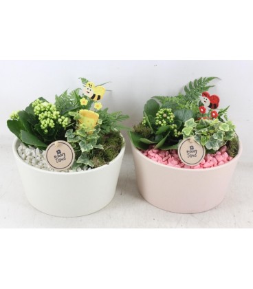 Compo ceram Blanc ou Rose