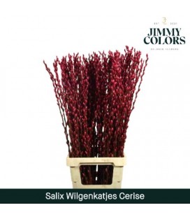 Salix chaton 90 cm Cerise
