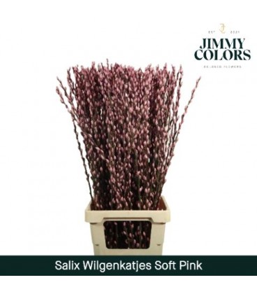 Salix chaton teinté Rose 90 cm la b