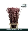 Salix chaton teinté Rose 90 cm la b