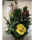 Coupe Plantes Ext 27 cm 10 € +48H