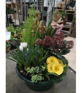 Coupe Plantes Ext 32.50cm 12 € +48h