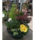 Coupe Plantes Ext 32.50cm 12 ( A commander 24h avant livraison )