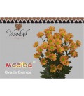 Santini Mad Ovada or