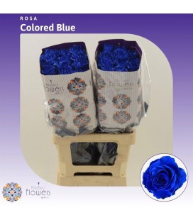 Rose teinté bleu 60 cm
