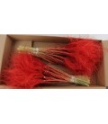 Stypha 60cm Rouge