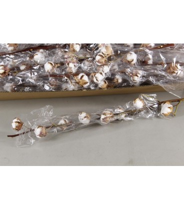 Branche de coton 12 fleurs
